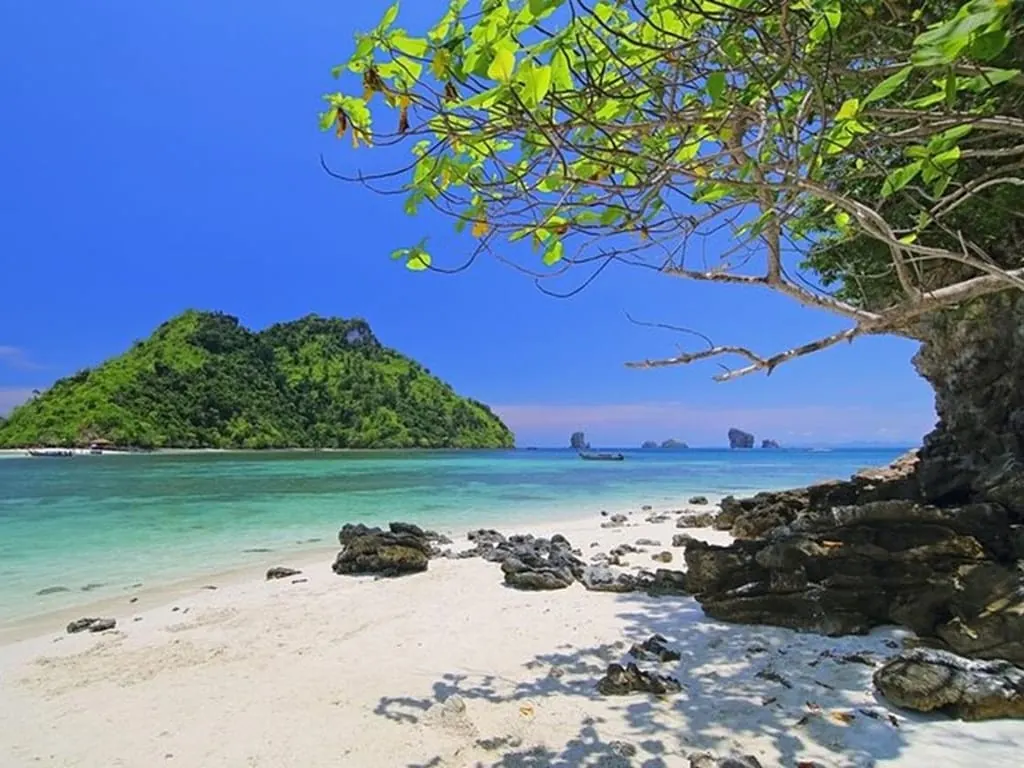 From Phuket: Phi Phi Islands, Maya Bay & Khai Nok Tour — snorkelling and clear Andaman Sea on the tour (photo 2)